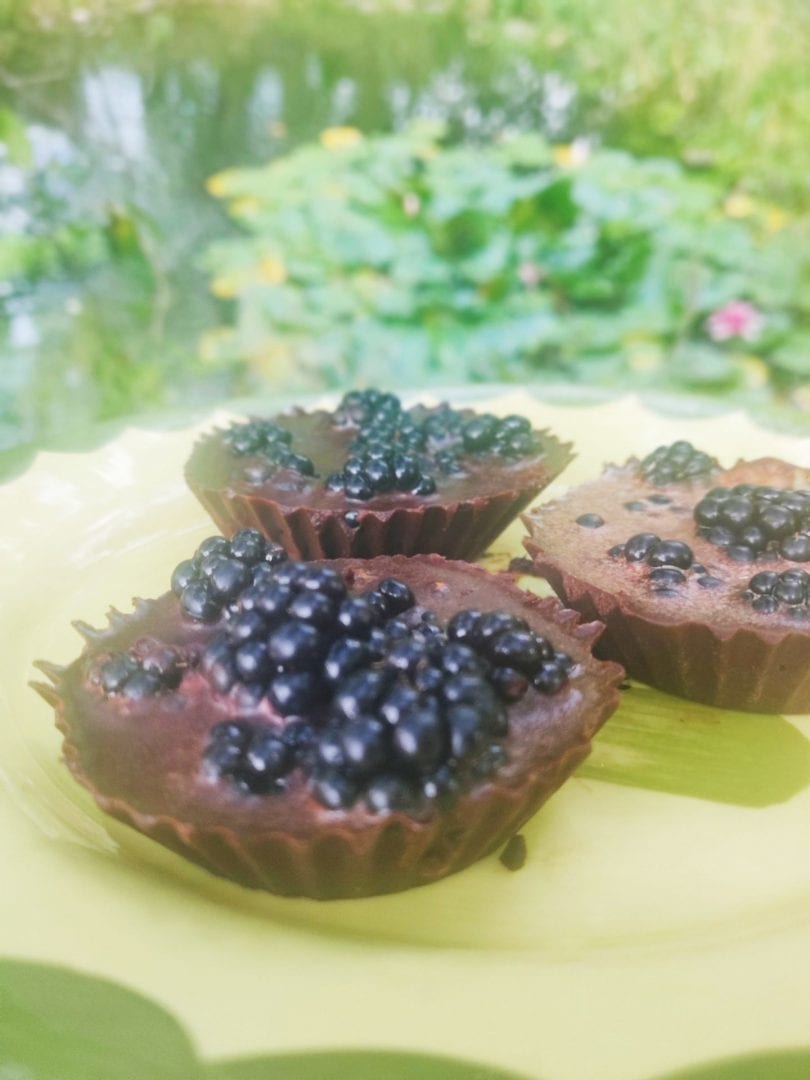 Raw Cacao Chocolates The Lovetarian Way
