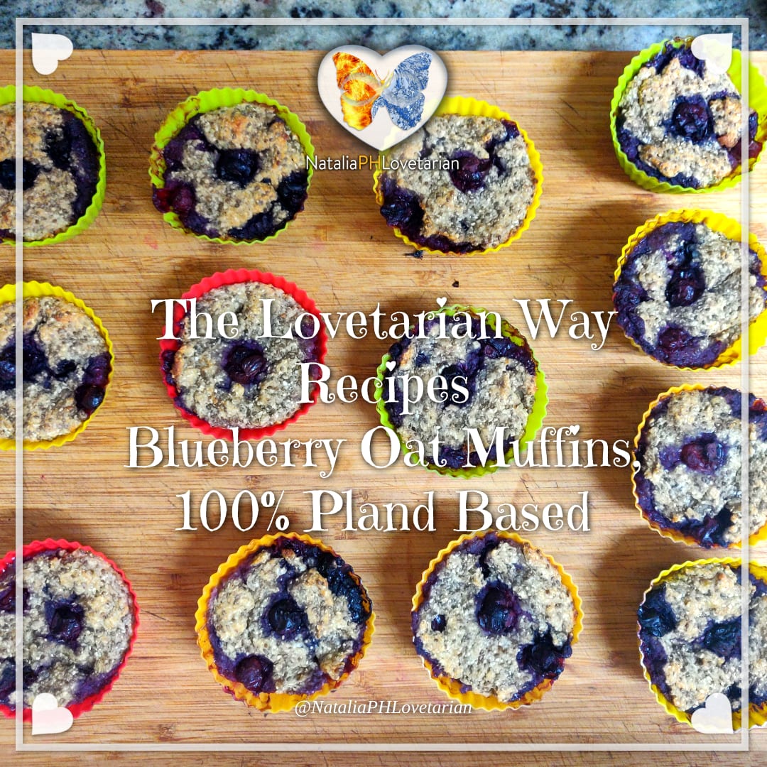 Blueberry Oat Muffins