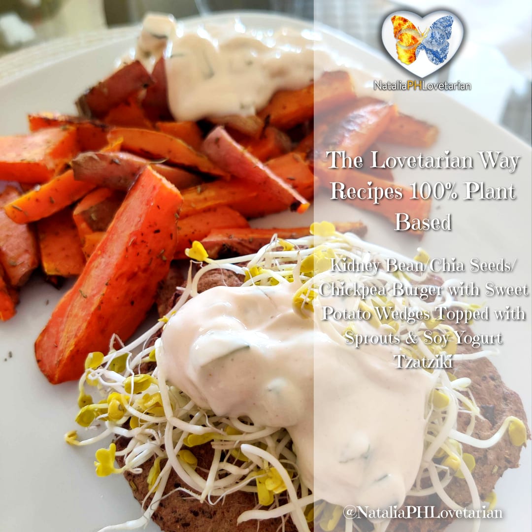 Kidney BeanChia Seeds Chickpea Burger 1 Used 02-11-20