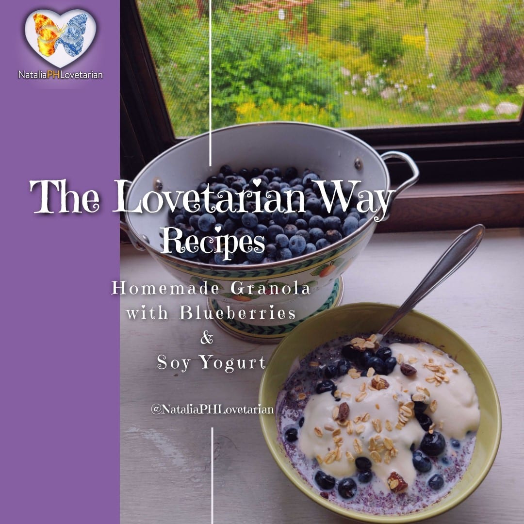 granola GRANOLA WITH BERRIES, RAW CACAO, SOY YOGURT & PLANT MILK