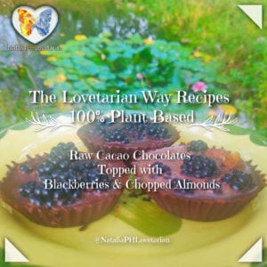 Raw Cacao Chocolates The Lovetarian Way