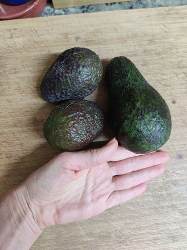 Guacamole 1